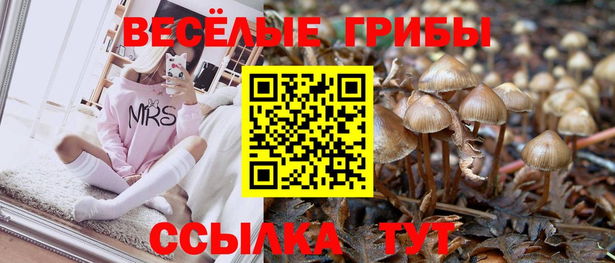 Кемерово  Псилоцибиновые грибы мухоморы  Вход с VPN  Галлюциногенные грибы мицелий 