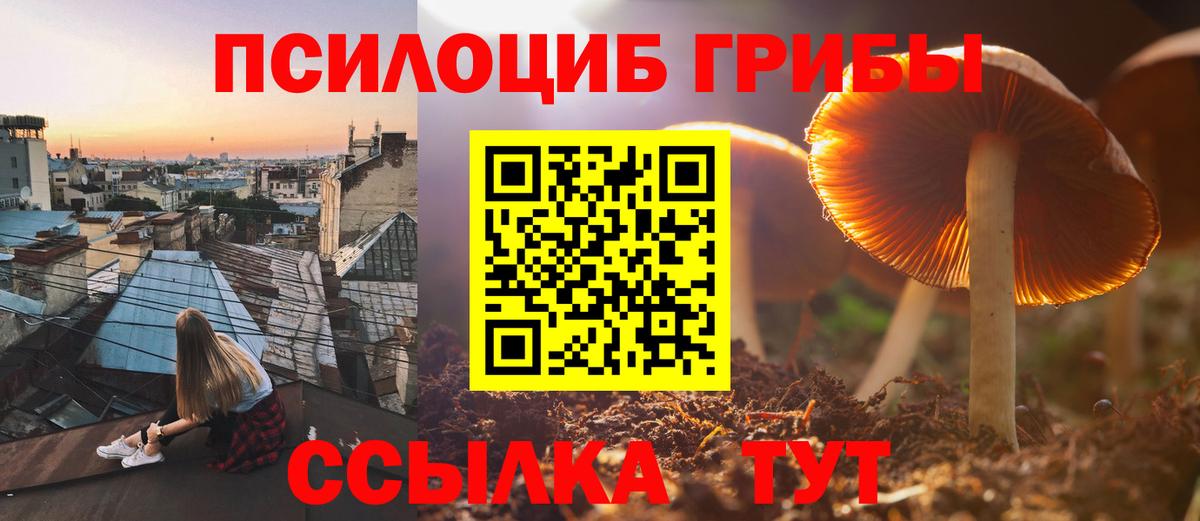 Галлюциногенные грибы Magic Shrooms Кемерово